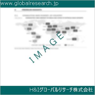 グローバルリサーチ調査資料のイメージ
